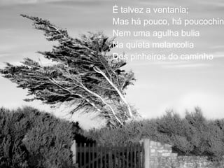 É talvez a ventania; Mas há pouco, há poucochinho, Nem uma agulha bulia Na quieta melancolia Dos pinheiros do caminho 