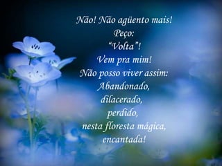 Não! Não agüento mais!
Peço:
“Volta”!
Vem pra mim!
Não posso viver assim:
Abandonado,
dilacerado,
perdido,
nesta floresta mágica,
encantada!
 