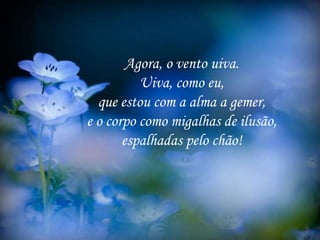 Agora, o vento uiva.
Uiva, como eu,
que estou com a alma a gemer,
e o corpo como migalhas de ilusão,
espalhadas pelo chão!
 