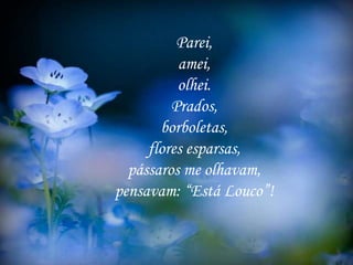 Parei,
amei,
olhei.
Prados,
borboletas,
flores esparsas,
pássaros me olhavam,
pensavam: “Está Louco”!
 
