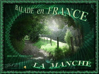 Balade en-france-la-manche-jack-50