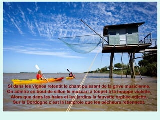 Si dans les vignes retentit le chant puissant de la grive musicienne,
On admire en bout de sillon le muscari à toupet à la houppe violette.
Alors que dans les haies et les jardins la fauvette orphée volette,
Sur la Dordogne c’est la lamproie que les pêcheurs retiennent.

 