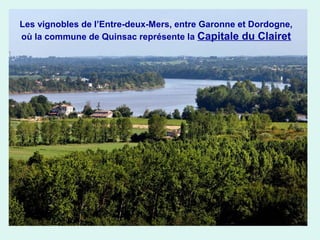 Les vignobles de l’Entre-deux-Mers, entre Garonne et Dordogne,
où la commune de Quinsac représente la Capitale du Clairet

 