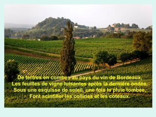 De tertres en combes au pays du vin de Bordeaux,
Les feuilles de vigne luisantes après la dernière ondée,
Sous une esquisse de soleil, une fois la pluie tombée,
Font scintiller les collines et les coteaux.

 