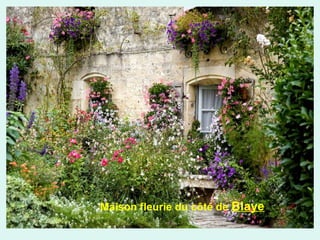 Maison fleurie du côté de Blaye

 