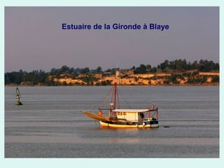 Estuaire de la Gironde à Blaye

 