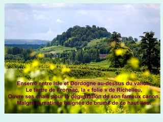 Enserré entre Isle et Dordogne au-dessus du vallon,
Le tertre de Fronsac, la « folie » de Richelieu,
Ouvre ses chais pour la dégustation de son fameux canon,
Malgré la matinée baignée de brume de ce haut lieu.

 