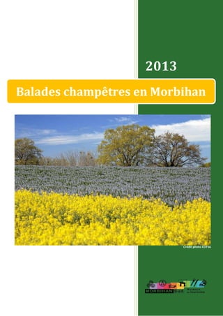 2013
Balades champêtres en Morbihan
Crédit photo CDT56
 