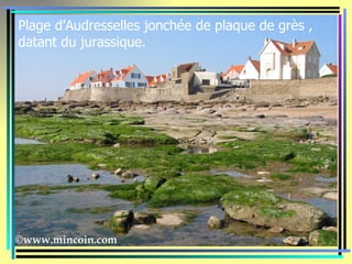 Plage d’Audresselles jonchée de plaque de grès ,
datant du jurassique.
 