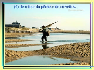 (4) le retour du pêcheur de crevettes.
 