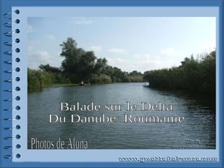 Balade sur le Delta Du Danube  Roumanie Photos de Aluna 