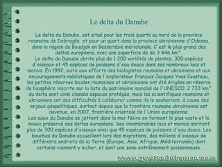 Le delta du Danube Le delta du Danube, est situé pour les trois quarts au nord de la province roumaine de Dobrogée    et pour un quart dans la province ukrainienne d'Odessa, dans la région du Boudjak en Bessarabie méridionale. C'est le plus grand des deltas européens, avec une superficie de de 3 446 km². Le delta du Danube abrite plus de 1 200 variétés de plantes, 300 espèces d'oiseaux et 45 espèces de poissons d'eau douce dans ses nombreux lacs et marais. En 1992, suite aux efforts des biologistes roumains et ukrainiens et aux encouragements médiatiques de l'explorateur français Jacques Yves Cousteau, les petites réserves locales roumaines et ukrainienne ont été érigées en réserve de biosphère inscrite sur la liste du patrimoine mondial de l'UNESCO. 2 733 km² du delta sont ainsi classés espaces protégés, mais les scientifiques roumains et ukrianiens ont des difficultés à collaborer comme ils le souhaitent, à cause des enjeux géopolitiques, surtout depuis que la frontière roumano ukrainienne est devenue, en 2007, frontière orientale de l'Union européenne. Les eaux du Danube se jettent dans la mer Noire en formant le plus vaste et le mieux préservé des deltas européens. Ses innombrables lacs et marais abritent plus de 300 espèces d'oiseaux ainsi que 45 espèces de poissons d'eau douce. Les bouches du Danube accueillent lors des migrations, des millions d'oiseaux de différents endroits de la Terre (Europe, Asie, Afrique, Méditerranée) dont certains viennent y nicher, et sont une zone extrêmement poissonneuse. 