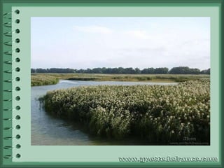 Les  îles du Salut  sont constituées par trois îlots d'origine volcanique rattachés à la Guyane, et situés à une vingtaine de kilomètres au large de Kourou, les Îles du Salut appartiennent au territoire de la commune de Cayenne. Seules les îles Royale et Saint-Joseph sont accessibles. D'abord nommées « Îles du Triangle »  par les premiers explorateurs, les îles du Salut prirent ensuite le nom d' Îles du Diable en raison des forts courants marins qui rendaient leur accès très périlleux, mais aussi de la tragique expédition de Kourou en 1763, qui se solda par une hécatombe. Les épidémies de fièvre jaune dues à l'insalubrité du climat guyanais, au manque de nourriture et d'eau potable, ainsi que les installations précaires et le manque d'organisation, avaient décimé la plus grande partie des colons d'origine française, convoyés en Guyane pour peupler le territoire. Les survivants, qui trouvèrent refuge sur ces îles au climat plus favorable et dépourvues de moustiques, les rebaptisèrent alors « Îles du Salut ». Après les premiers colons, il ne faut pas oublier que c'est aux esclaves noirs que fut confié la lourde tâche de défricher ces territoires, et dont les rescapés furent autorisés à rejoindre ceux du continent, pour fonder les premières communautés le long du fleuve Maroni. Le Bagne  Mais ce « salut » fut de courte durée et la réputation de « triangle maudit » et de « terre d'enfer » allait être confirmée dès la Première république par la construction d'une forteresse, en 1793, pour accueillir les premiers déportés politiques, à commencer par quelques deux-cents prêtres réfractaires. Puis, avec l'abolition de l'esclavage en 1848 et l'opposition politique grandissante aux bagnes sur le territoire métropolitain, l'idée de substituer des bagnards aux esclaves se fait jour. Sous le Second Empire, à partir de 1854, l'administration pénitentiaire y instaure un des bagnes les plus durs au monde, où passeront 70 000 prisonniers. L'île Royale accueillait l'administration ainsi que l'hôpital, l'île Saint-Joseph servait pour les « fortes têtes » et l'île du Diable pour les espions, les détenus politiques ou de droit commun. Il s'agissait pourtant du bagne le moins dur de Guyane.  Alfred Dreyfus (1894) et Guillaume Seznec (1923) en furent les prisonniers les plus célèbres, ainsi qu'Henri Charrière (1933) qui décrivit dans son livre  Papillon  son séjour et ses tentatives d'évasion. Enfin, Benjamin Ullmo (1908) passera également les deux tiers de sa vie à l'île du Diable, dans la même case où a vécu Dreyfus. Après la fermeture du bagne qui, décidée par un décret-loi du gouvernement Daladier en 1938, ne fut réalisée qu'en 1947, les installations pénitencières seront laissées dans leur état de grand délabrement jusqu'à l'implantation du centre spatial guyanais en 1965 à Kourou. Devenues la  propriété du Centre national d'études spatiales (CNES) en raison de leur intérêt stratégique, dû à leur position sur la trajectoire des fusées Ariane, les îles du Salut sont évacuées avant chaque lancement, à l'exception de la propriétaire de l'auberge de l'ile Royale et de quelques gendarmes. Depuis les années 1980, grâce à l'essor touristique des îles et à la volonté de sauvegarder une partie du patrimoine historique, le CNES a permis la remise en état de la Chapelle de Royale, de la maison Dreyfus (non visitable) ainsi que certaines cellules du quartier des condamnés. Enfin, la maison du Directeur a été aménagée en Musée du Bagne . 