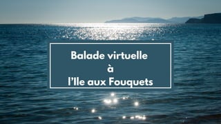 Balade virtuelle
à
l’Ile aux Fouquets
 