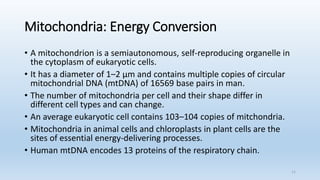 MITOCHONDRIAL GENETICS | PPTX