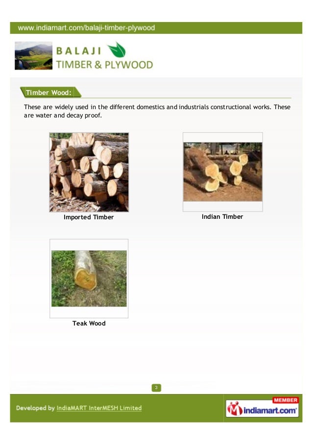 Balaji Timber & Plywood, Chandigarh, Timbers and Plywood