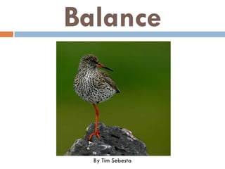 Balance



  By Tim Sebesta
 