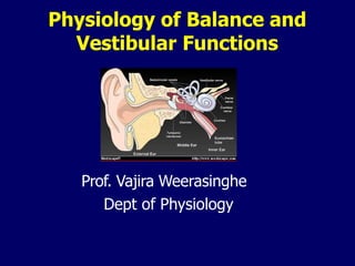 Physiology of Balance and
Vestibular Functions
Prof. Vajira Weerasinghe
Dept of Physiology
 