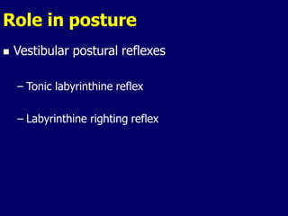 Role in posture
 Vestibular postural reflexes
– Tonic labyrinthine reflex
– Labyrinthine righting reflex
 