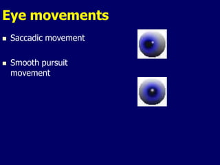 Eye movements
 Saccadic movement
 Smooth pursuit
movement
 