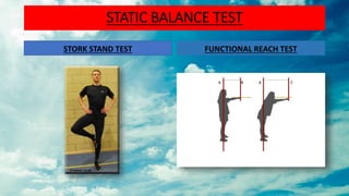 Balance Training in Athletes and Elderly (Rehabilitation) | PPTX