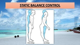 Balance Training in Athletes and Elderly (Rehabilitation) | PPTX