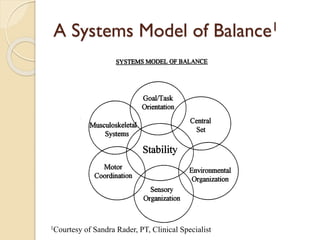 A Systems Model of Balance1
1Courtesy of Sandra Rader, PT, Clinical Specialist
 