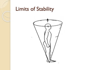 Limits of Stability
 