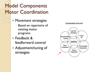 Model Components
Motor Coordination
 Movement strategies
◦ Based on repertoire of
existing motor
programs
 Feedback &
feedforward control
 Adjustment/tuning of
strategies
 
