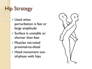 Hip Strategy
 Used when
perturbation is fast or
large amplitude
 Surface is unstable or
shorter than feet
 Muscles recruited
proximal-to-distal
 Head movement out-
of-phase with hips
 