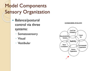 Model Components
Sensory Organization
 Balance/postural
control via three
systems:
◦ Somatosensory
◦ Visual
◦ Vestibular
 