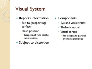 Visual System
 Reports information
◦ Self-to-(supporting)
surface
◦ Head position
 Keep visual gaze parallel
with horizon
 Subject to distortion
 Components
◦ Eye and visual tracts
◦ Thalamic nuclei
◦ Visual cortex
 Projections to parietal
and temporal lobes
 