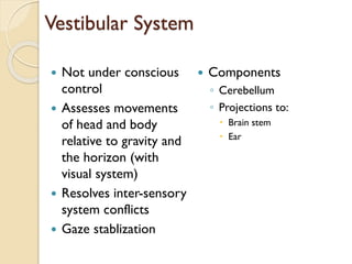 Vestibular System
 Not under conscious
control
 Assesses movements
of head and body
relative to gravity and
the horizon (with
visual system)
 Resolves inter-sensory
system conflicts
 Gaze stablization
 Components
◦ Cerebellum
◦ Projections to:
 Brain stem
 Ear
 