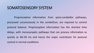 SOMATOSENSORY SYSTEM
Proprioceptive information from spino-cerebellar pathways,
processed unconsciously in the cerebellum, are required to control
postural balance. Proprioceptive information has the shortest time
delays, with monosynaptic pathways that can process information as
quickly as 40–50 ms and hence the major contributor for postural
control in normal conditions.
 