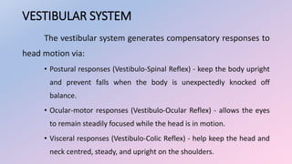 VESTIBULAR SYSTEM
The vestibular system generates compensatory responses to
head motion via:
• Postural responses (Vestibulo-Spinal Reflex) - keep the body upright
and prevent falls when the body is unexpectedly knocked off
balance.
• Ocular-motor responses (Vestibulo-Ocular Reflex) - allows the eyes
to remain steadily focused while the head is in motion.
• Visceral responses (Vestibulo-Colic Reflex) - help keep the head and
neck centred, steady, and upright on the shoulders.
 