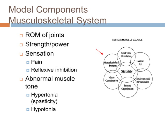 Balance and coordination in human bodies | PPTX | Physical Therapy ...