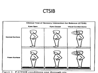 Balance training and exercises for balance | PPTX