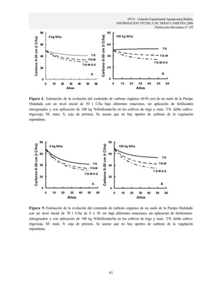 INTA – Estación Experimental Agropecuaria Rafaela. 
INFORMACION TECNICA DE TRIGO CAMPAÑA 2006 
Publicación Miscelánea Nº 105 
80 
60 
40 
20 
80 
Carbono 0-30 cm (t C/ha) B 
60 
40 
20 
41 
80 
60 
40 
20 
0 
0 10 20 30 40 50 60 
Años 
Carbono 0-30 cm (t C/ha) 
T/S 
T/S-M 
0 kg N/ha 
A 
0 
0 10 20 30 40 50 60 
Años 
Carbono 0-30 cm (t C/ha) 
100 kg N/ha 
T/S 
T/S-M 
B 
T/S-M-S-S 
T/S-M-S-S 
Figura 4. Estimación de la evolución del contenido de carbono orgánico (0-30 cm) de un suelo de la Pampa 
Ondulada con un nivel inicial de 50 t C/ha bajo diferentes rotaciones, sin aplicación de fertilizantes 
nitrogenados y con aplicación de 100 kg N-fertilizante/ha en los cultivos de trigo y maíz. T/S: doble cultivo 
trigo/soja; M: maíz, S: soja de primera. Se asume que no hay aportes de carbono de la vegetación 
espontánea. 
80 
60 
40 
20 
0 
0 10 20 30 40 50 60 
Años 
Carbono 0-30 cm (t C/ha) 
0 kg N/ha 
T/S 
T/S-M 
A 
0 
0 10 20 30 40 50 60 
Años 
100 kg N/ha 
T/S 
T/S-M 
T/S-M-S-S 
T-S-M-S-S 
Figura 5: Estimación de la evolución del contenido de carbono orgánico de un suelo de la Pampa Ondulada 
con un nivel inicial de 70 t C/ha de 0 a 30 cm bajo diferentes rotaciones, sin aplicación de fertilizantes 
nitrogenados y con aplicación de 100 kg N-fertilizante/ha en los cultivos de trigo y maíz. T/S: doble cultivo 
trigo/soja; M: maíz, S: soja de primera. Se asume que no hay aportes de carbono de la vegetación 
espontánea. 
 
