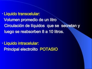 Liquido transcelular:  Volumen promedio de un litro Circulación de líquidos  que se  secretan y  luego se reabsorben 8 a 10 litros. Liquido intracelular:   Principal electrolito  POTASIO 