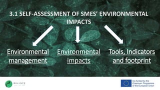 BALANCE Green SMEs | PPTX