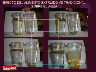 EFECTO DEL ALIMENTO EXTRUIDO VS TRADICIONAL
SOBRE EL AGUA
 