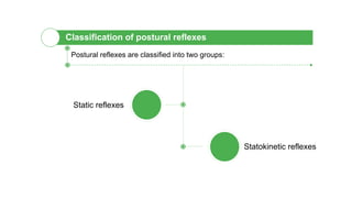 Classification of postural reflexes
Postural reflexes are classified into two groups:
Static reflexes
Statokinetic reflexes
 