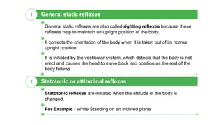 Statotonic or attitudinal reflexes2
For Example : While Standing on an inclined plane
Statotonic reflexes are initiated when the attitude of the body is
changed.
General static reflexes1
It corrects the orientation of the body when it is taken out of its normal
upright position.
General static reflexes are also called righting reflexes because these
reflexes help to maintain an upright position of the body.
It is initiated by the vestibular system, which detects that the body is not
erect and causes the head to move back into position as the rest of the
body follows
 