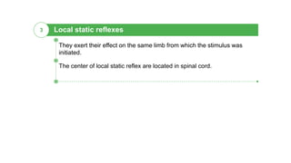 Local static reflexes3
The center of local static reflex are located in spinal cord.
They exert their effect on the same limb from which the stimulus was
initiated.
 