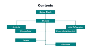 Areflexia
Spinal Shock
Hyperreflexia,Spasticity
Contents
Phases
Initial Reflex return
Hyperreflexia
Symptoms
Causes
 