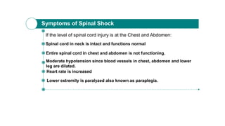 If the level of spinal cord injury is at the Chest and Abdomen:
Spinal cord in neck is intact and functions normal
Entire spinal cord in chest and abdomen is not functioning.
Moderate hypotension since blood vessels in chest, abdomen and lower
leg are dilated.
Heart rate is increased
Lower extremity is paralyzed also known as paraplegia.
Symptoms of Spinal Shock
 