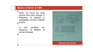 Motion of Brain & VBS
When we move our head
second time then change in
frequency of beating or
propagation of nerve impulse
occurs.
In this condition our
frequency of beating of
nerves increase.
Semicircular Canals
 