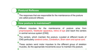 The responses that are responsible for the maintenance of the posture
are called postural reflexes.
How posture is maintained?
Postural Reflexes
Afferent impulses for the maintenance of posture arise from
proprioceptors, Vestibular apparatus, retina of eye and reach the centers
in central nervous system [CNS].
The centers, which maintain the posture, Located at different levels of
CNS particularly cerebral cortex, Cerebellum, Brain stem and spinal cord.
These centers send motor impulses to the different group of skeleton
muscles, So the appropriate movements occur to maintain the posture.
 
