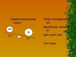 Usaha kompensasi   Ginjal mengeluarkan
   tubuh               ion
                     bikarbonat, menahan
AK
                       H+
            B
0.5                  dan anion lain
           15
                     Urin basa
 
