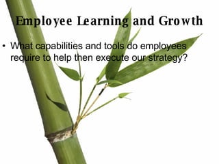 Employee Learning and Growth What capabilities and tools do employees require to help then execute our strategy? 